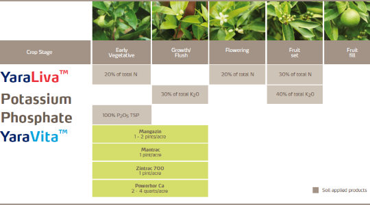 Citrus Fertilizer Program