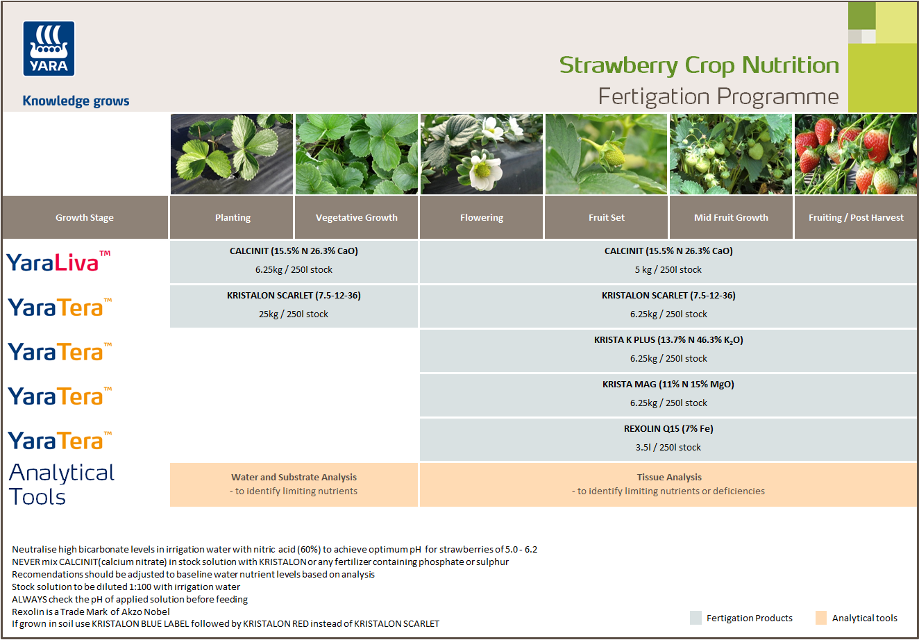 Strawberry fertigation programme