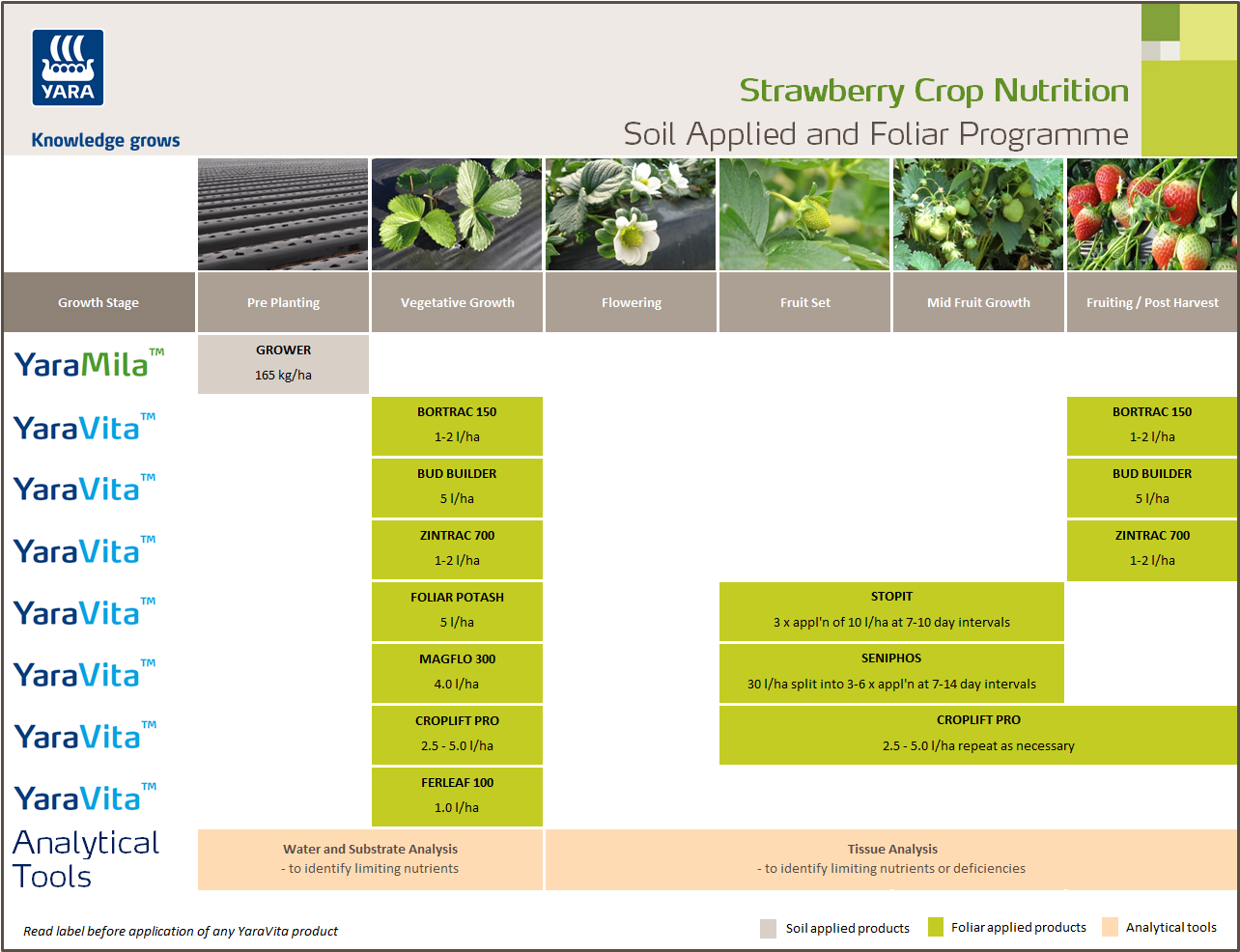 Strawberry fertiliser programme