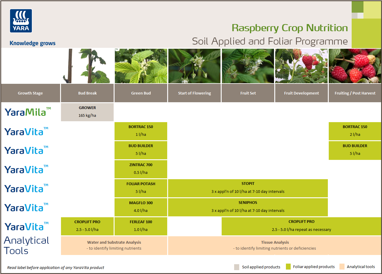 Raspberry fertiliser programme