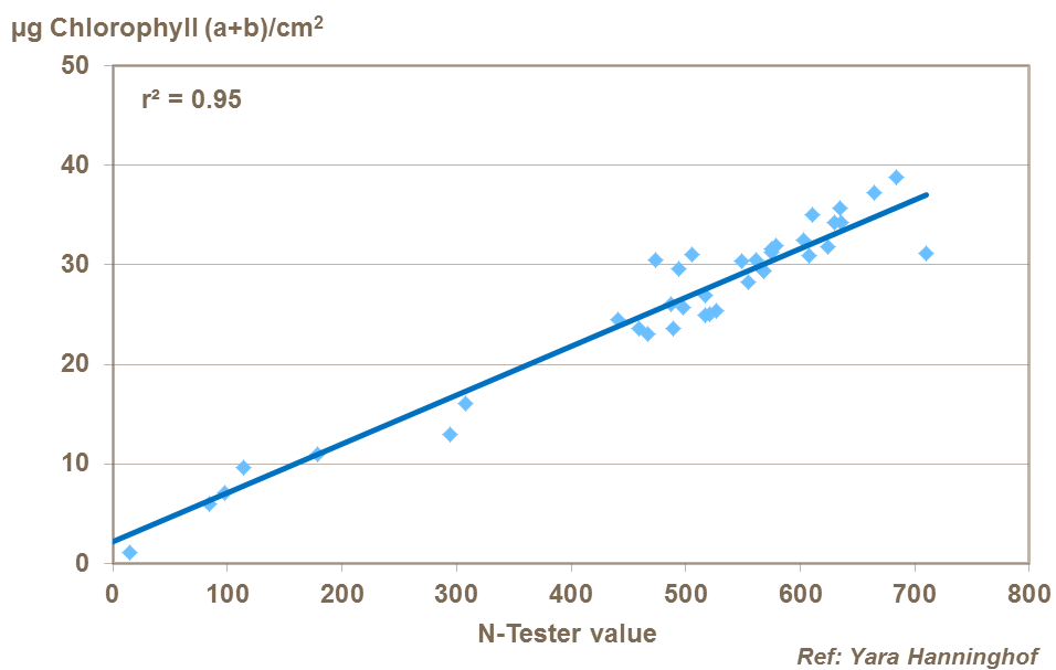 The correlation between wheat leaf chlorophyll content and N-Tester measurements