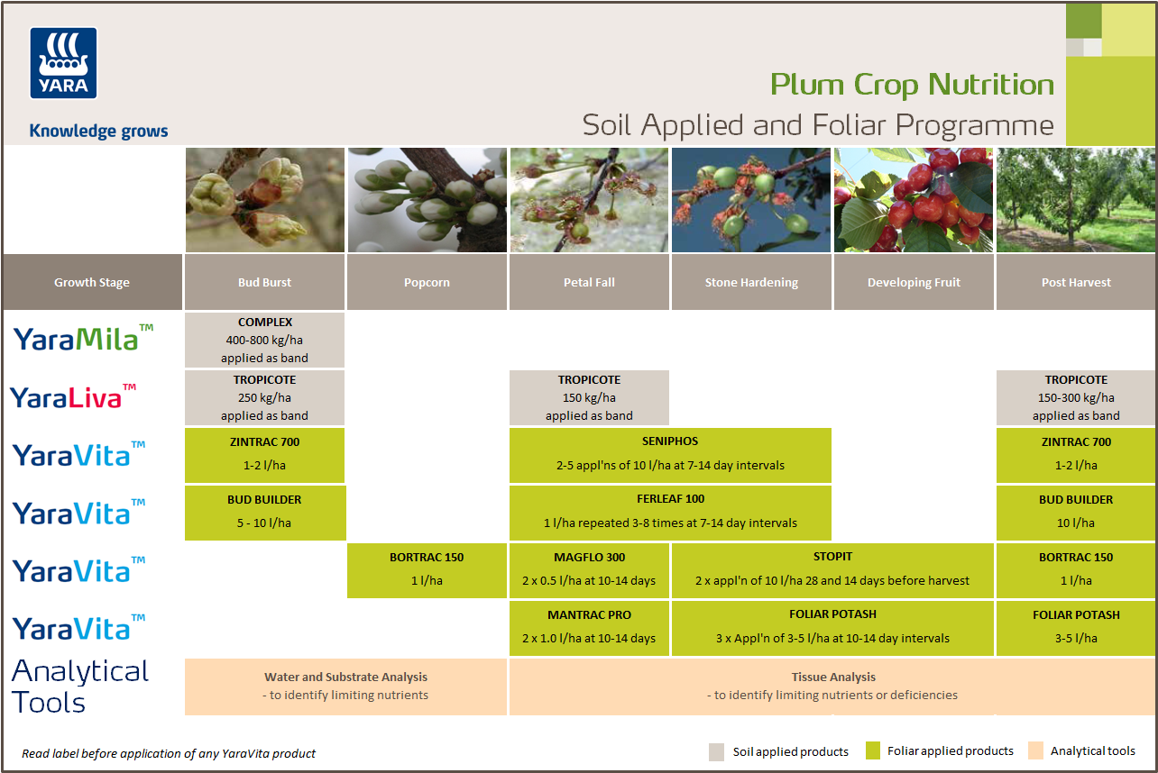 Plum fertiliser programme