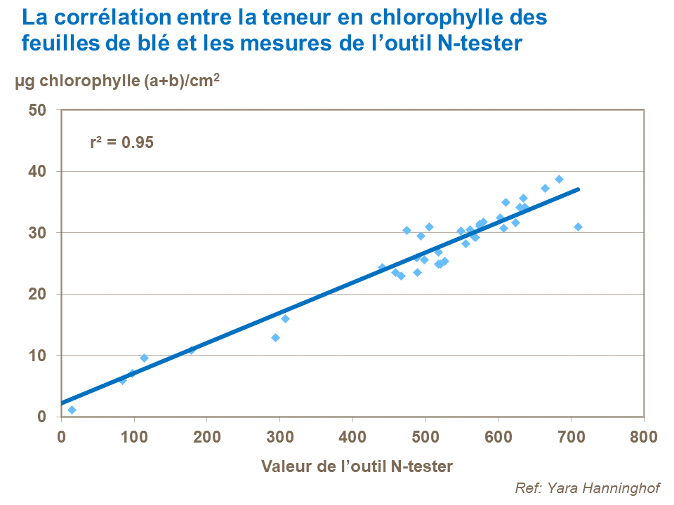 FR - correlaction wheat leaf chlorophyll and n-tester measument.png