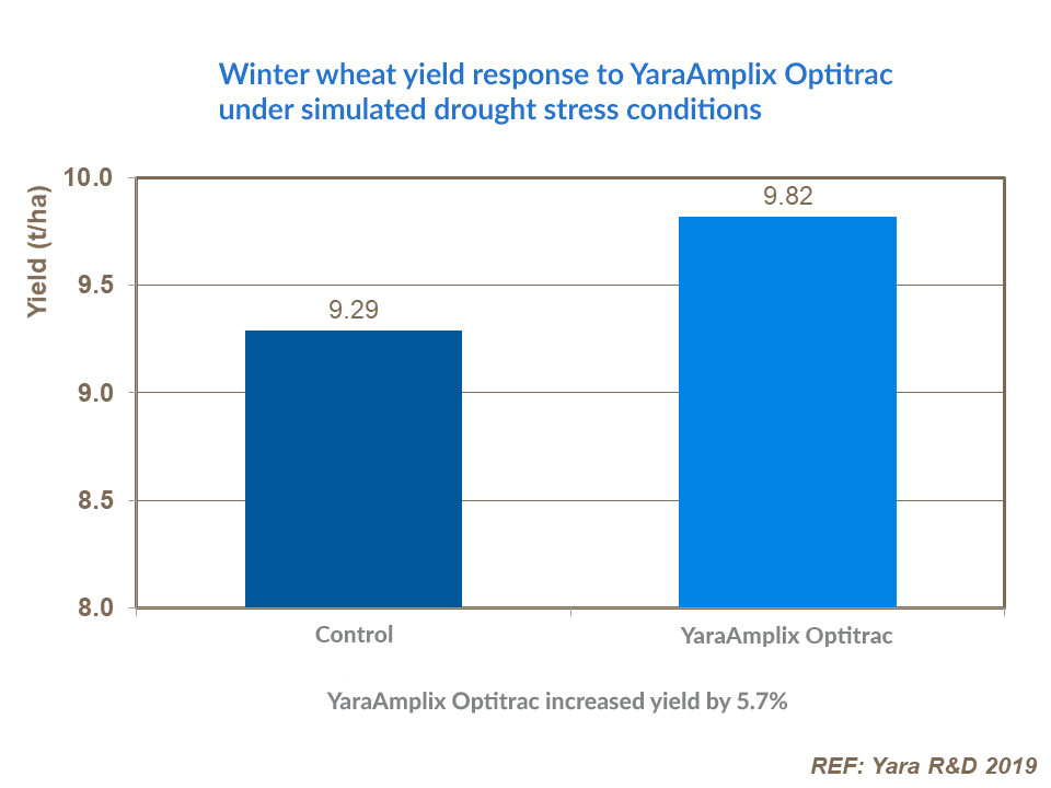 Winter wheat yield response to YaraAmplix Optitrac undersimulated drought stress conditions bar graph