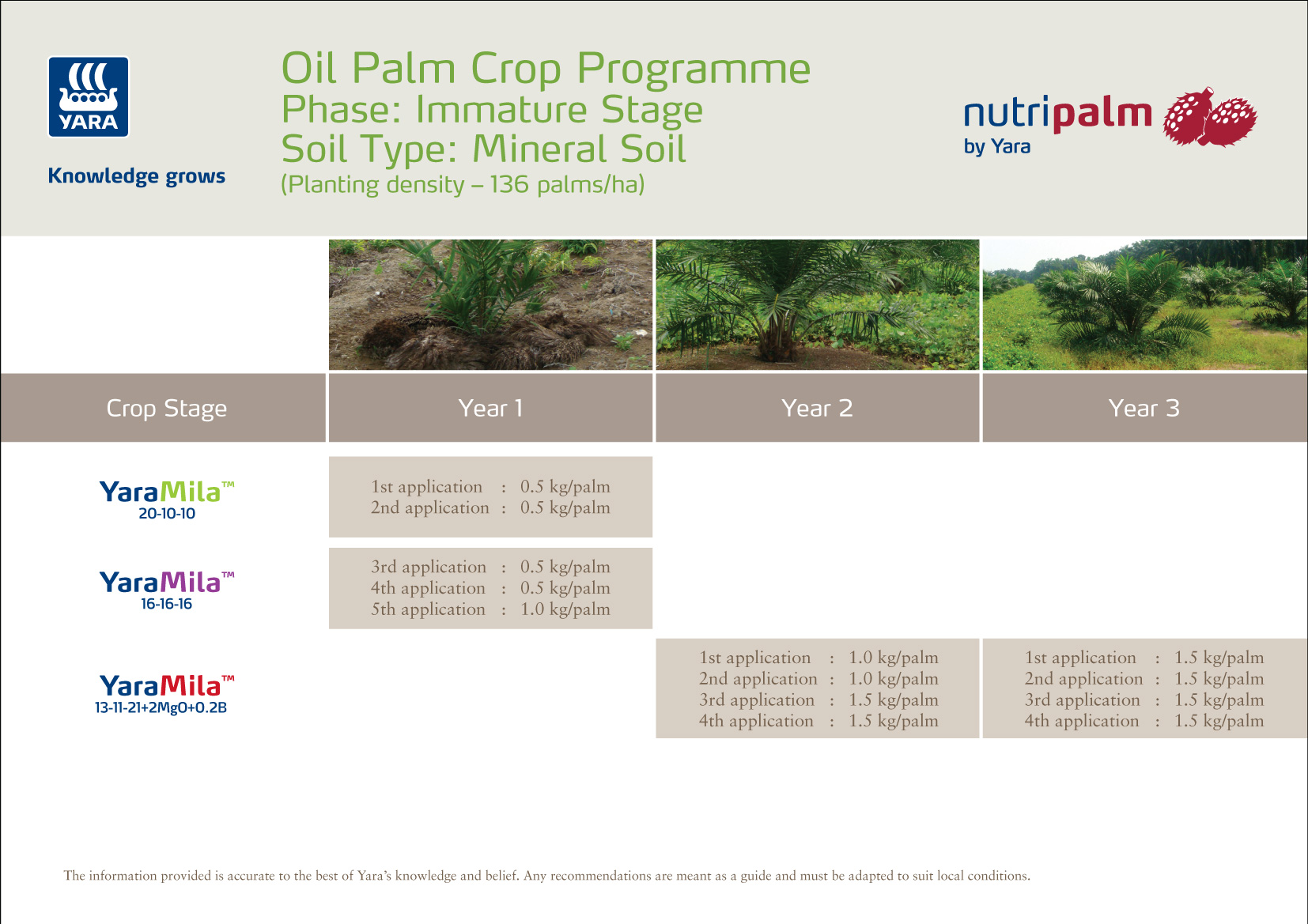 Oil Palm pre nursery