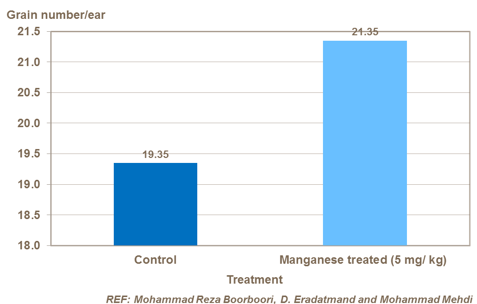 Effect of manganese on barley grains per ear