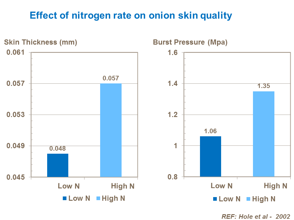 Effect of nitrogen rate on onion skin quality