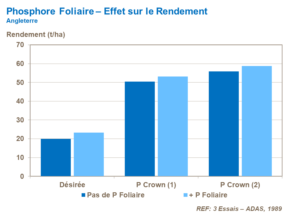FR-foliar phosphorus - effect on yield.png