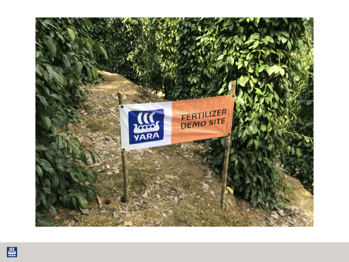 Healthier, Greener &amp; Shinier Black Pepper Harvest.003.png