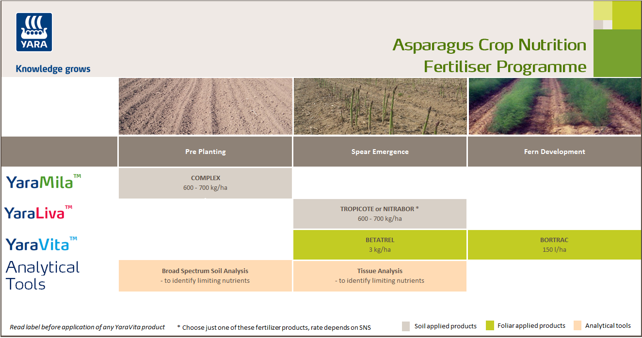 Asparagus fertiliser programme