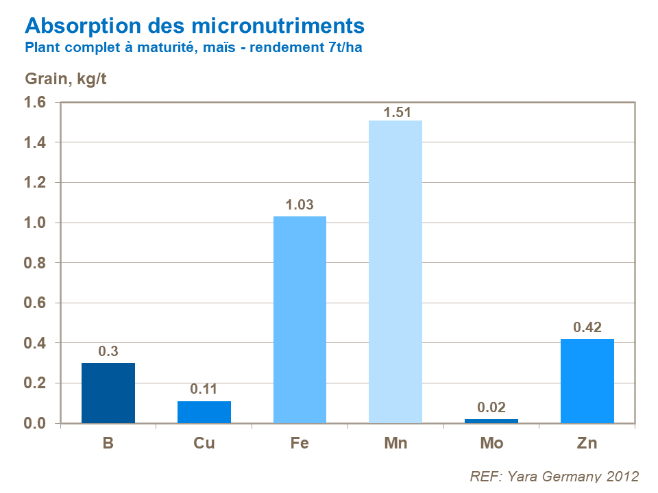 FR - micronutrient uptake corn at maturity.png