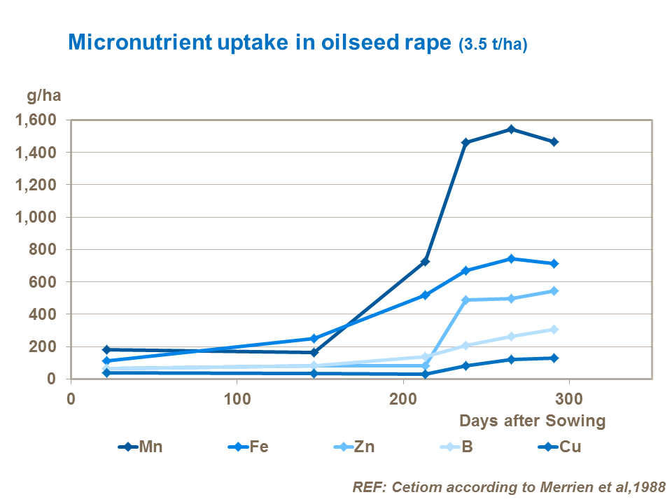Micronutrient uptake in oilseed rape