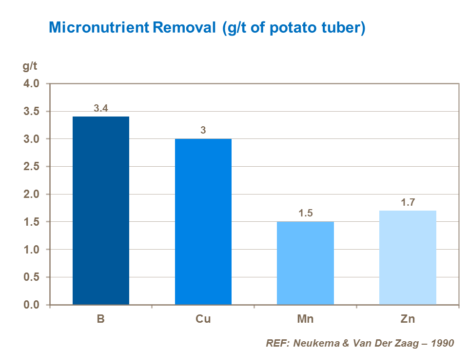 Micronutrient removal by potato tubers