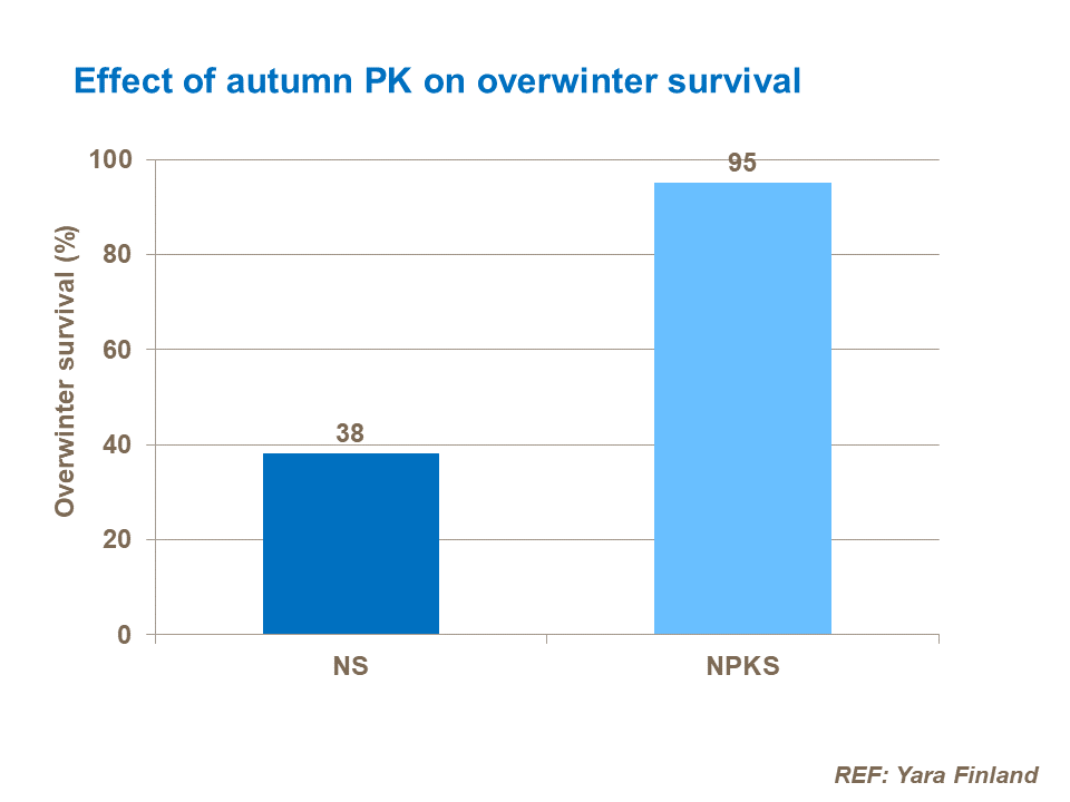 Effect of autumn PK on overwinter survival