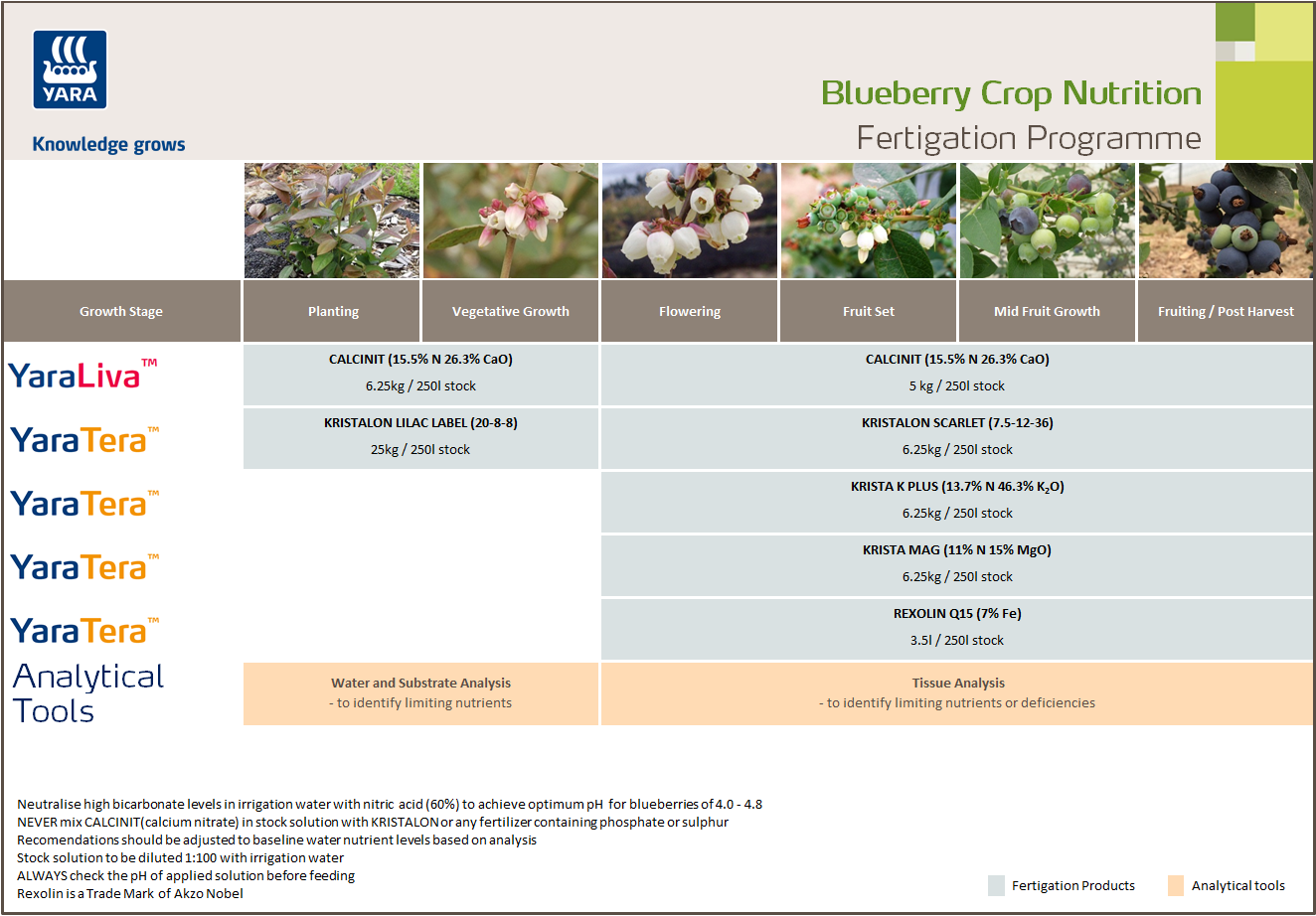 Blueberry fertigation programme