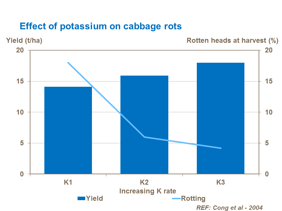 Effect of potassium on cabbage rots