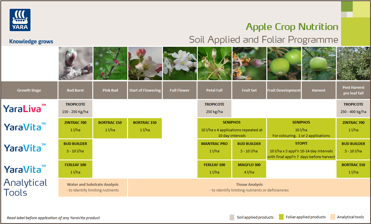 Apple fertiliser programme