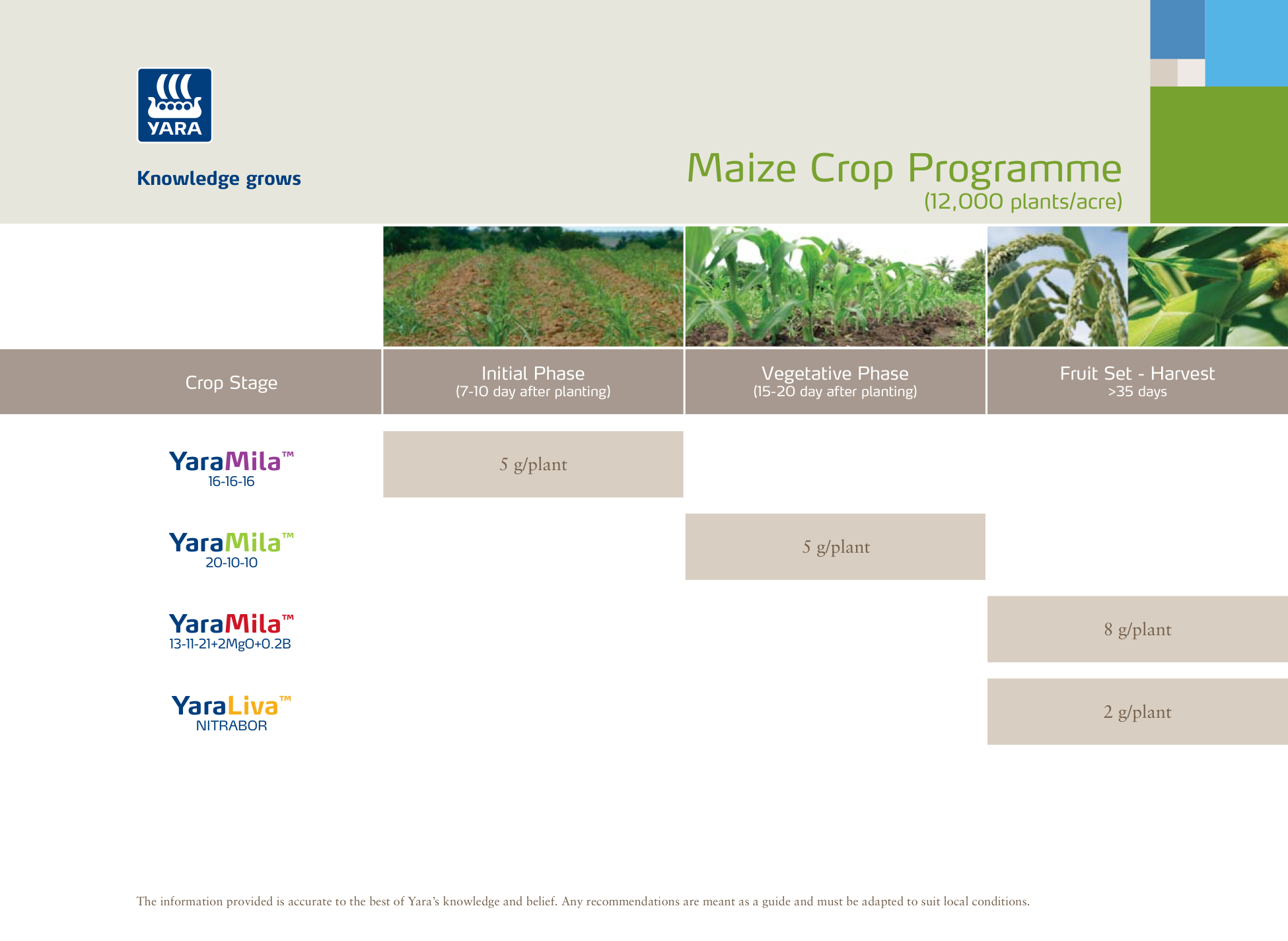 Maize program